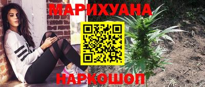 шишки Апшеронск