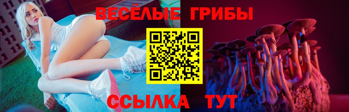 Галлюциногенные грибы ЛСД  Вход с VPN  Псилоцибиновые грибы Cubensis  Аша 